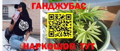 прущие грибы Брянск