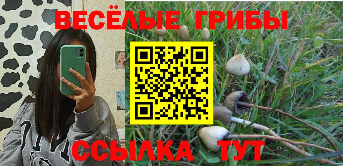 Псилоцибиновые грибы Magic Shrooms  Вход с VPN  Галлюциногенные грибы GOLDEN TEACHER  Волоколамск 